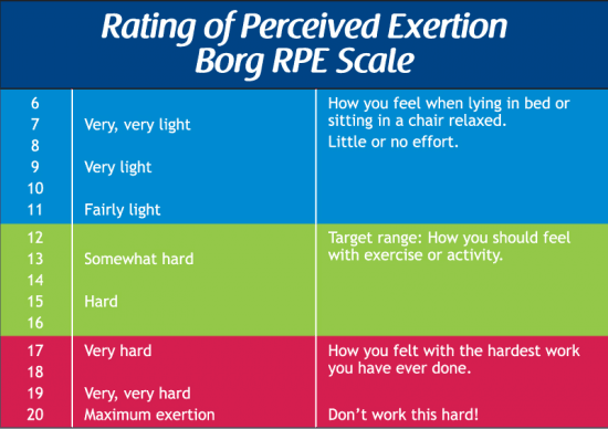 Borg Rating of Perceived Exertion Scale