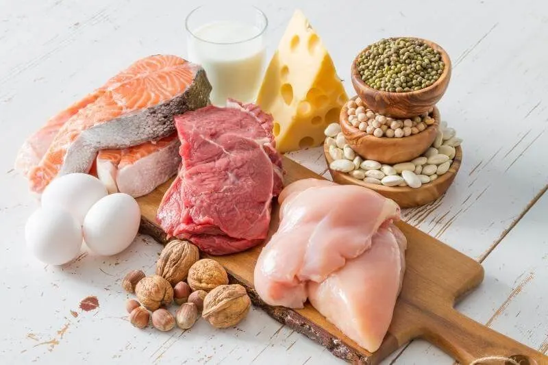 high protein diets for weight loss