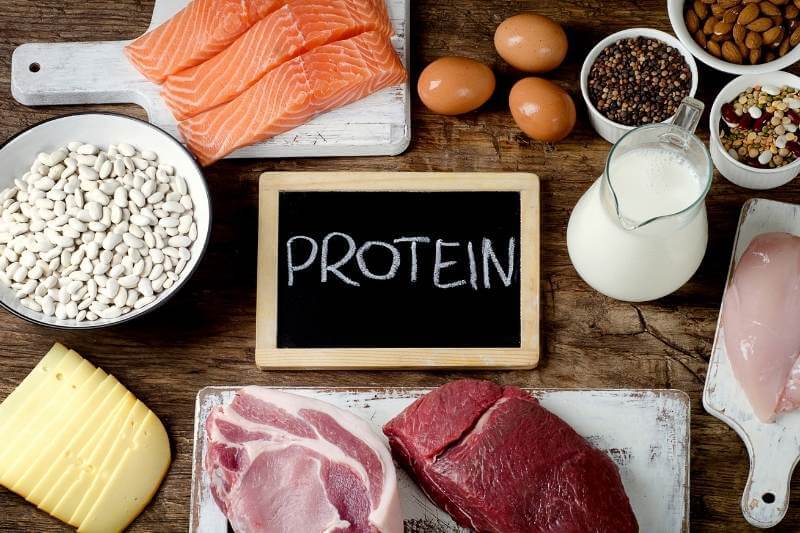Protein Calculator For Health, Weight Control, & Building Muscle